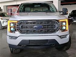 فۆرد F-150